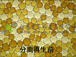 AG8亚洲·游戏平台